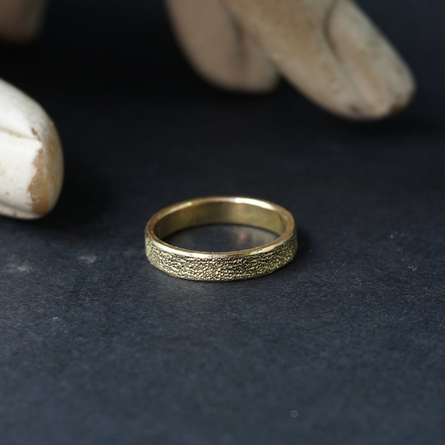 Anillo Solar Arena