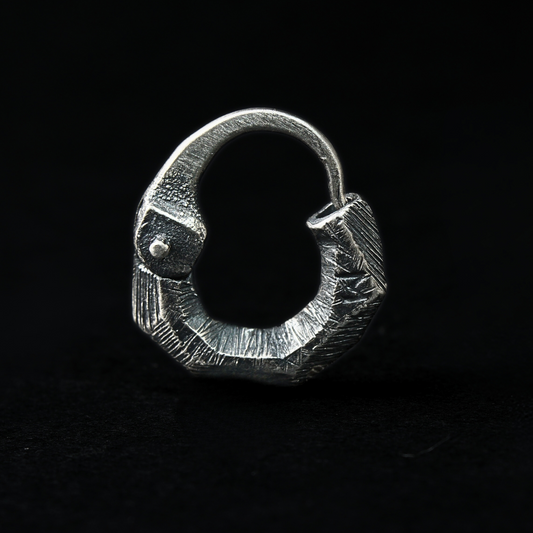 Garra Facetada Plata
