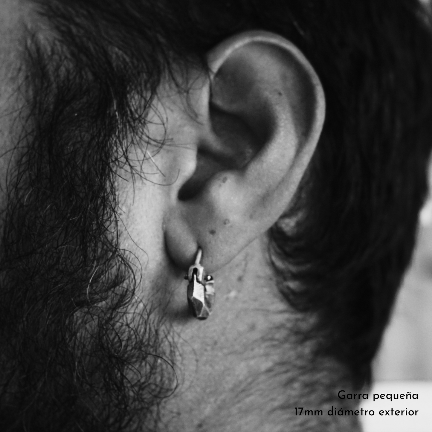 Garra Facetada Plata