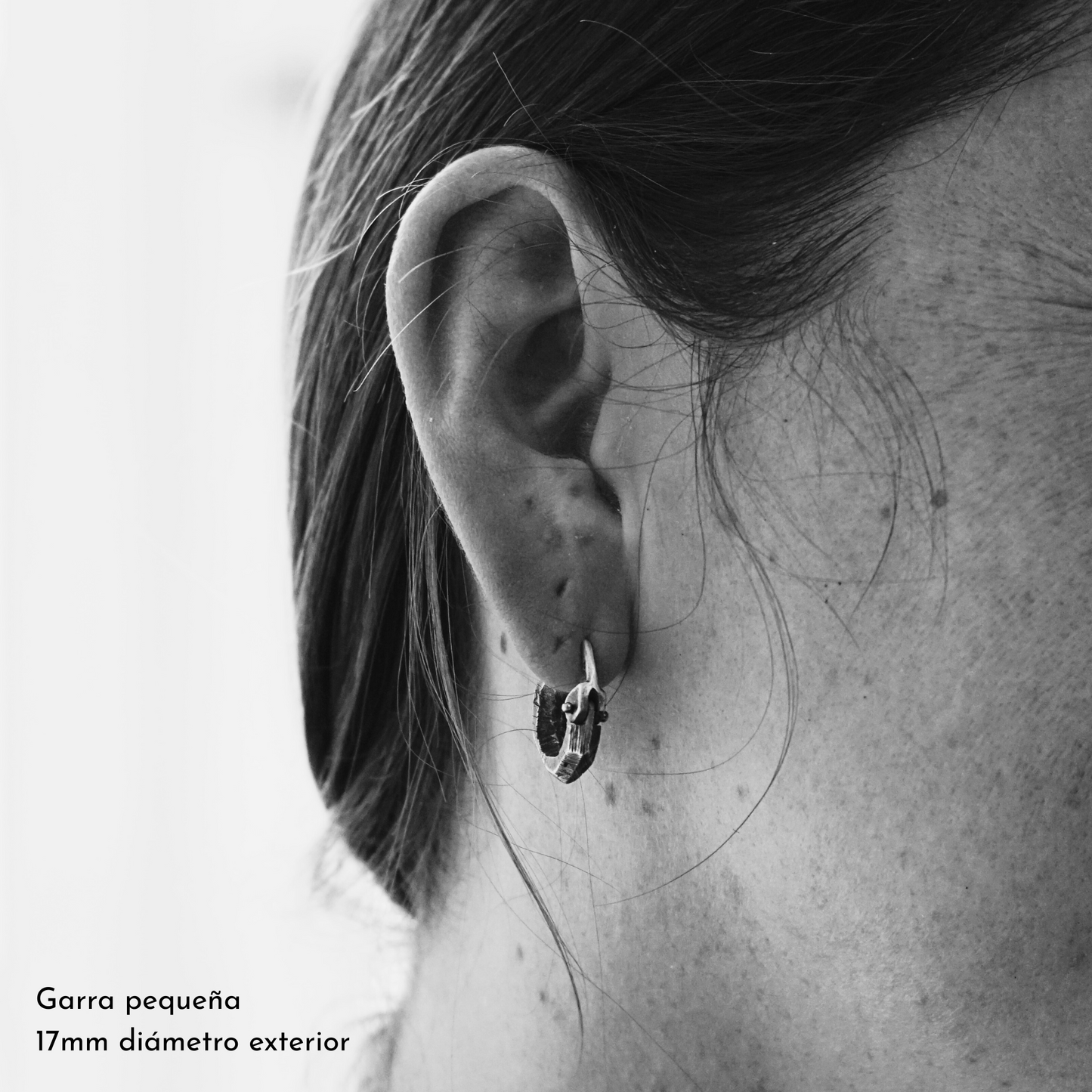 Garra Facetada Plata