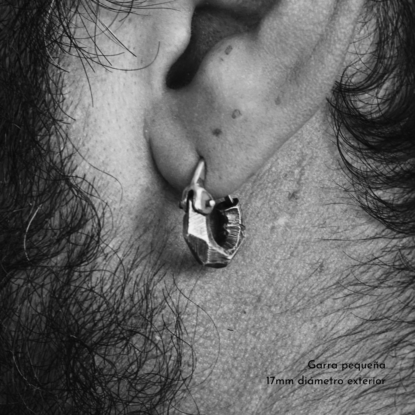Garra Facetada Plata