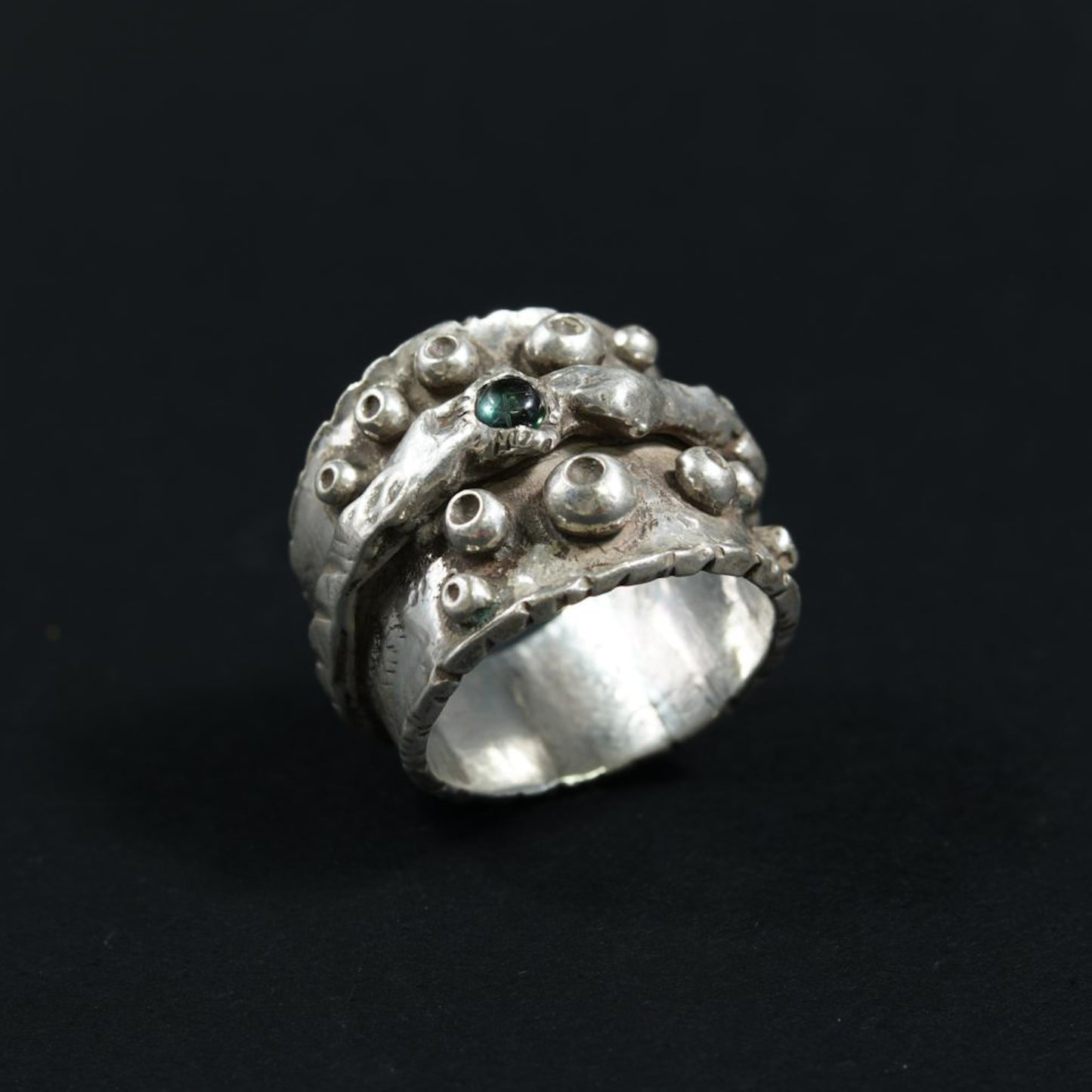 Anillo KRUSTACEA